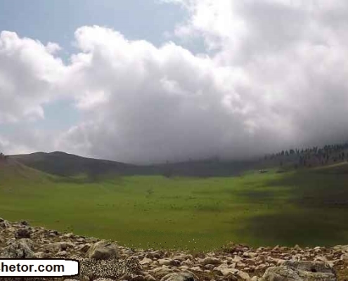 markoh plain 6 دشت مرکوه مینودشت