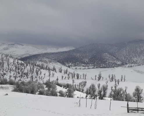 markoh plain2 دشت مرکوه مینودشت