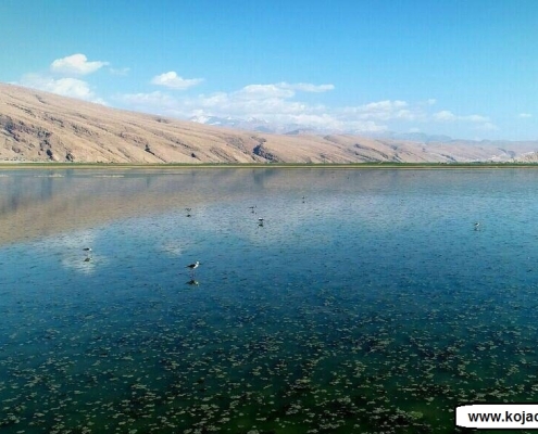 عکس تالاب میانگران ایذه
