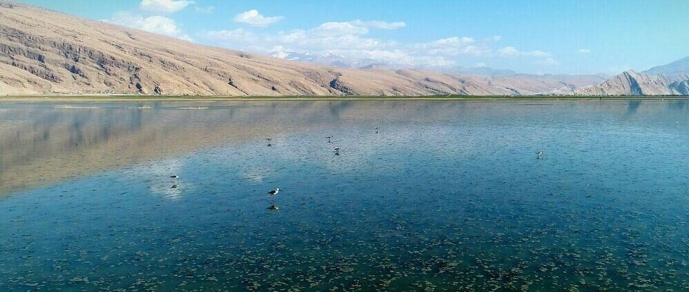 عکس تالاب میانگران ایذه