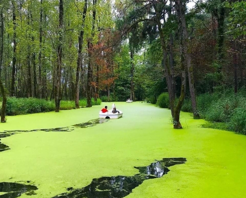 pond vareben 5 مرداب وربن