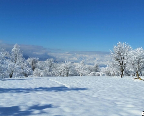 سی دشت برفی