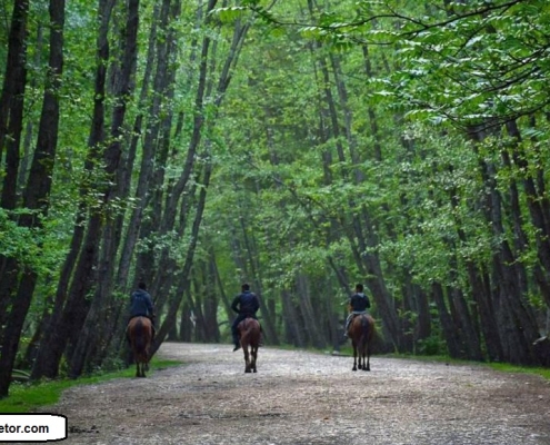 sinava waterfall 1 آبشار سینوا