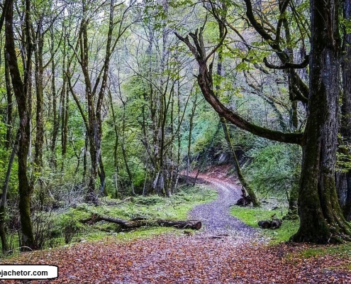 sinava waterfall 3 آبشار سینوا
