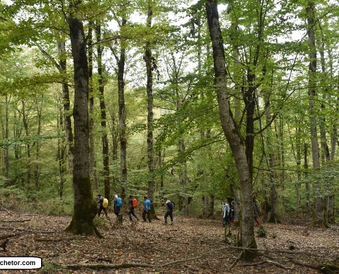 sinava waterfall 4 آبشار سینوا