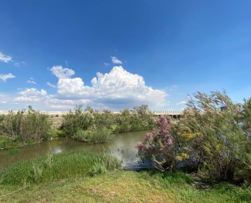 تالاب صالحیه نظرآباد در استان البرز