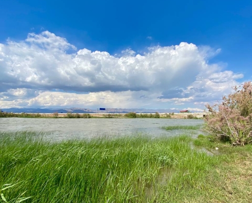 تالاب صالحیه نظرآباد در استان البرز