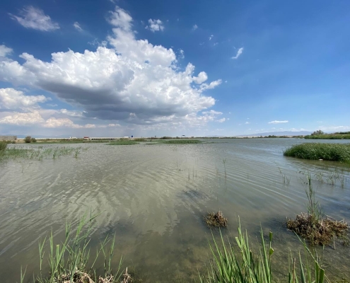 تالاب صالحیه کرج