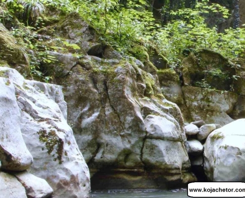 tangeh daar 3 تنگ دار نوشهر