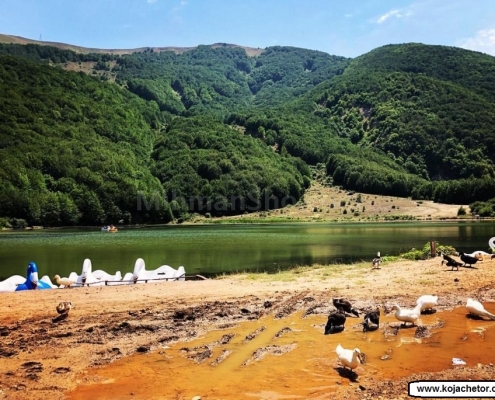 قایق سواری در دریاچه ویستان | گیلان | رودبار | منبع عکس : گوگل