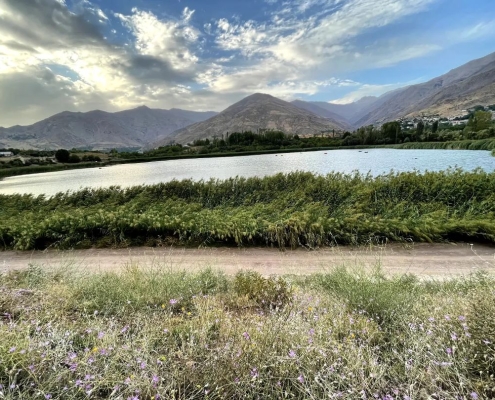 Ovan Lake-6 دریاچه اوان قزوین