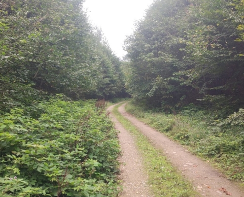 Seven Spring Haft-Khal Kiasar-1 مسیر آبشار هفت خال کیاسر