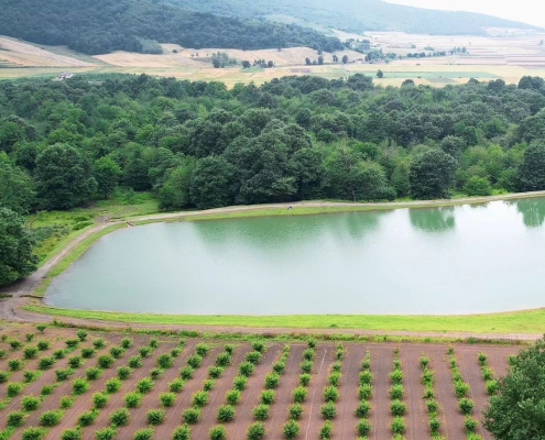 ab-bandan-naghi-abad-2 آب بندان نقی آباد فندرسک