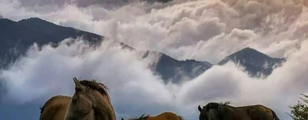 طبیعت زیبای روستای فیلبند
