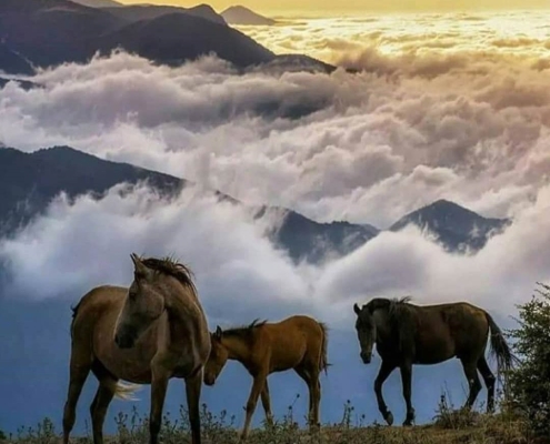 filband 7 طبیعت زیبای روستای فیلبند