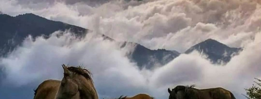 طبیعت زیبای روستای فیلبند