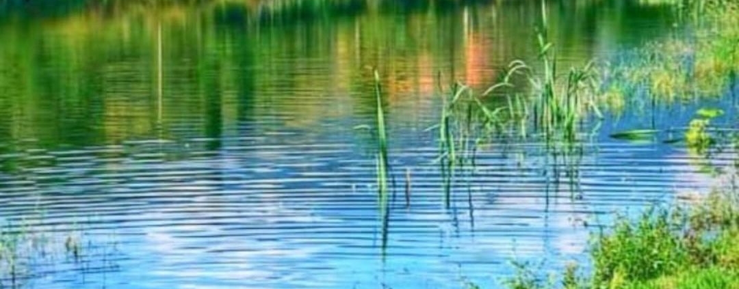 عکس دریاچه کیشه خانی یا کیشخانی