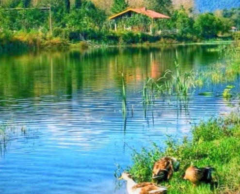 kisheh_khani_masal_825033327c4b43b3a823d7f09115d146 عکس دریاچه کیشه خانی یا کیشخانی