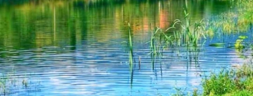 عکس دریاچه کیشه خانی یا کیشخانی