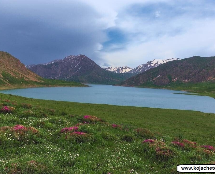 lar national park 2 پوشش گیاهی زیبا در اطراف دریاچه لار