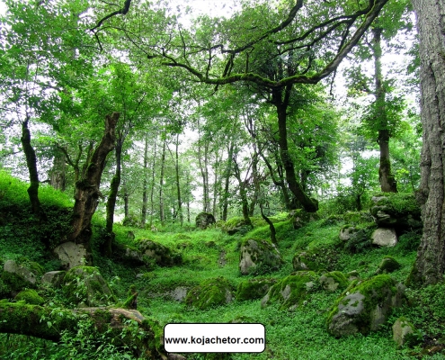 maran waterfall 4 جنگل های سه هزار مسیر رسیدن به آبشار مران