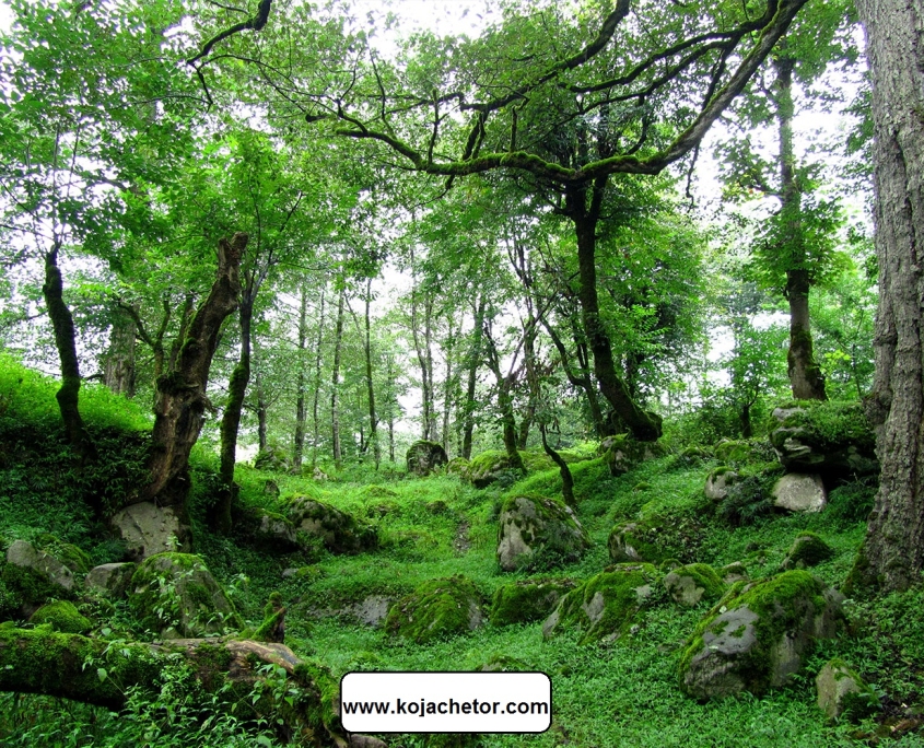 maran waterfall 4 جنگل سه هزار مسیر آبشار مران تنکابن