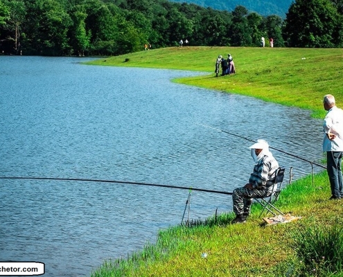 پیکنیک و کمپیمک در استخر آب بندان یا دریاچه نورماس شفت گیلان
