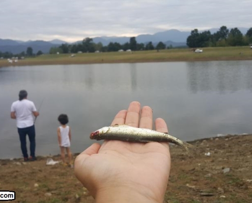 ماهیگیری و تفریح در دریاچه زیبای نورماس