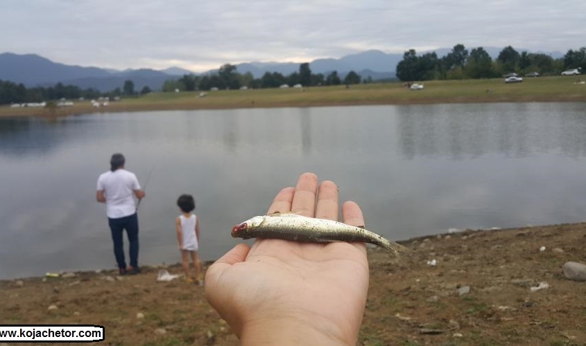 ماهیگیری تفریح کمپینگ پیکنیک در دریاچه نورماس شفت