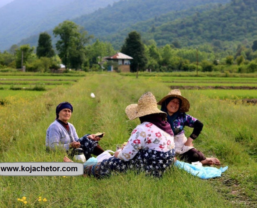palang darre lake 2 مناظر زیبای روستای آلیان فومن | دریاچه پلنگ دره