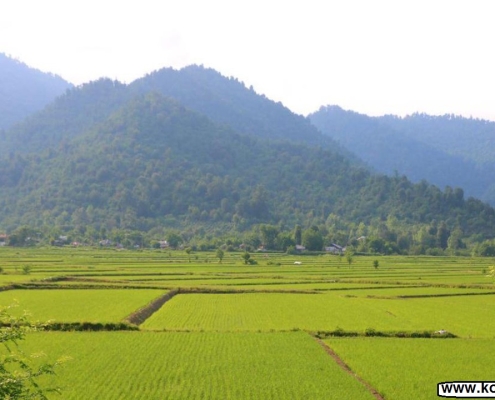 palang darreh 6 طبیعت زیبای پلنگ دره آلیان فومن