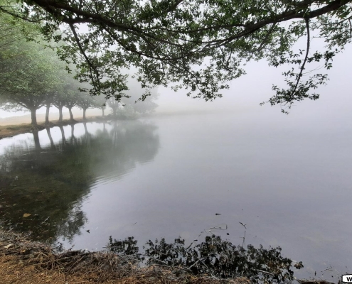 آبگیر قارقچال بالاده مازندران ساری