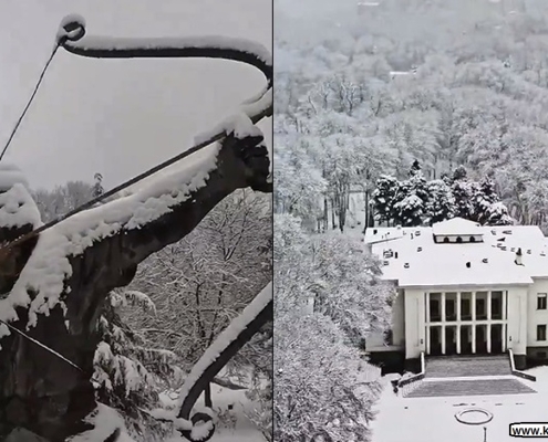 sadabad complex 15 نمای بیرونی کاخ سعد آباد در فصل زمستان