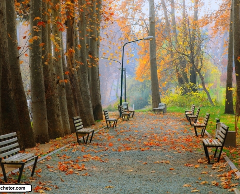 sadabad complex 17 عکس محوطه باغ کاخ سعد آباد در تهران