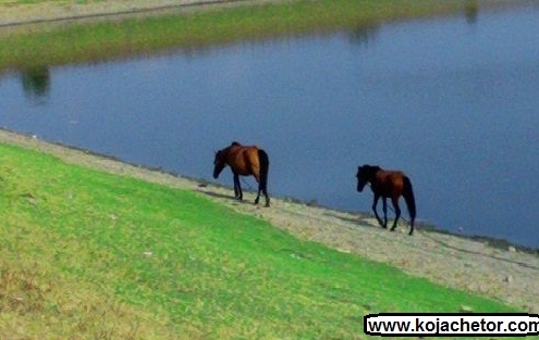 seh sar lake 2 دریاچه دو قلو فومن گیلان