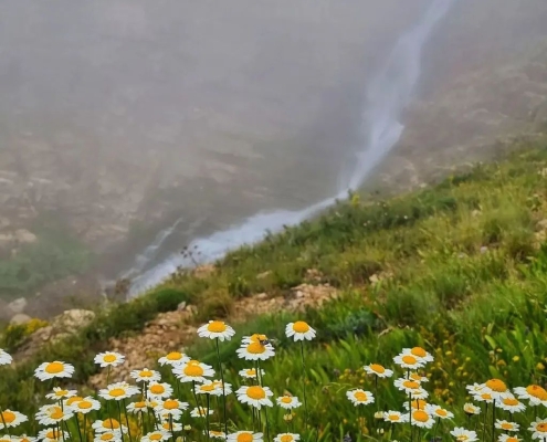 Siah Cheshman Waterfall-5 آبشار سیاه چشمان