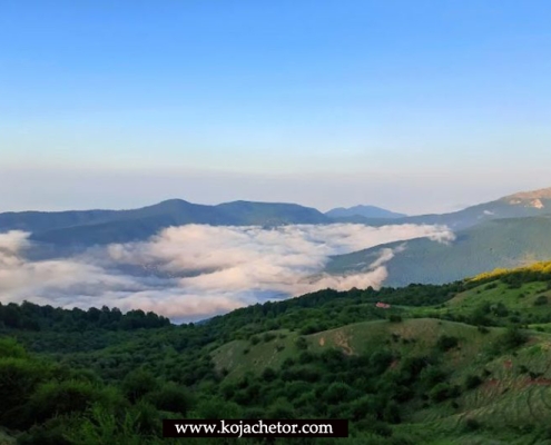آب و هوا در جنگل الیمستان مرطوب و مساعد است