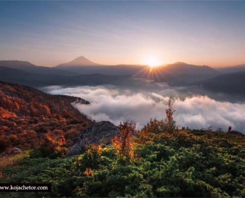 جنگل الیمستان در هر 4 فصل زیبایی مخصوص به خود را دارد