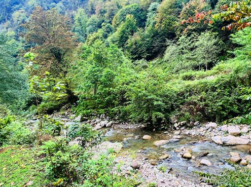 تنگه عباس آباد مازندران