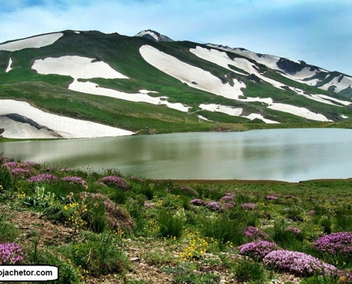 benchul lake dalanper 7 تنوع زیستی و گیاهی در دریاچه بنچول | دریاچه دوقلو دالامپر | آذربایجان غربی