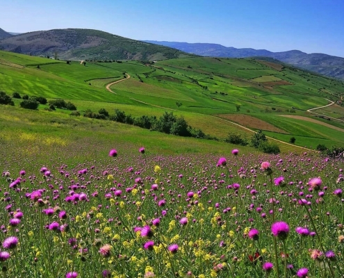 estarem village 2 طبیعت زیبای روستای استارم مازندران بهشهر