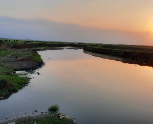 gazgisheh protected area 2 عکس منطقه حفاظت شده گاز گیشه گیلان