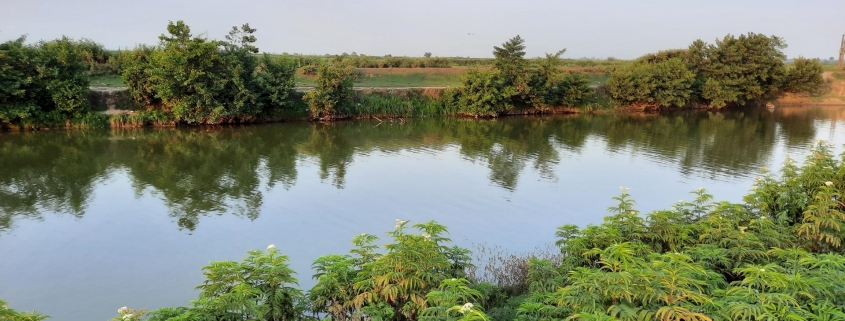 منطقه حفاظت شده گازگیشه گیلان از نقاط گردشگری شمال کشور