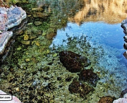 khomedeh hot spring 2 عکس حوضچه مانند آب معدنی خمده در روستای خمده