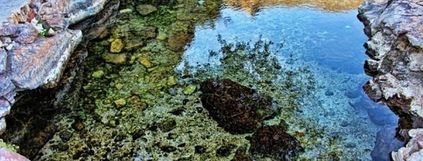 عکس حوضچه مانند آب معدنی خمده در روستای خمده