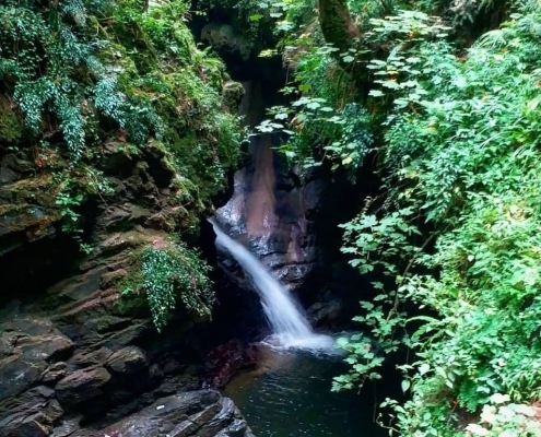 آبشار ماهی مشو در اطاقور گیلان