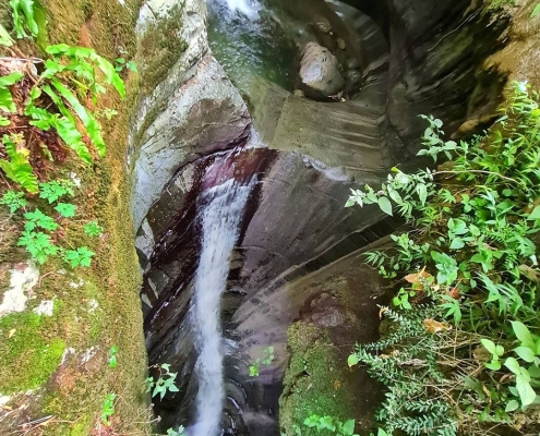 آبشار ماهی مشو لاهیجان