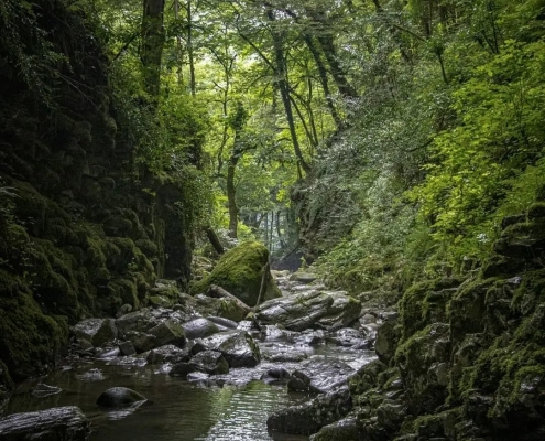 آبشار ماهی مشو اطاقور