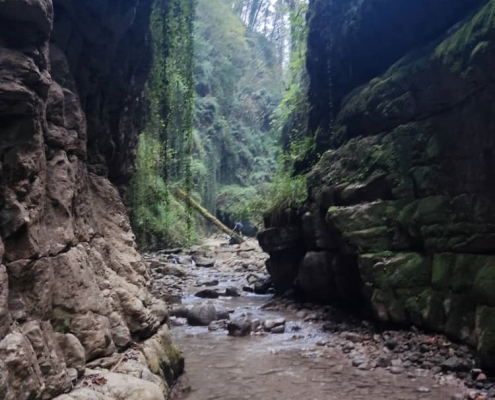 طبیعت سرسبز و زیبای تنگه نارنج بن