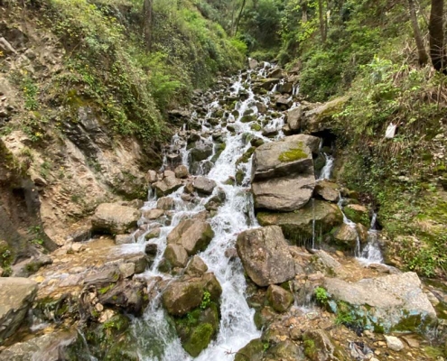 آبشار آب پری رویان